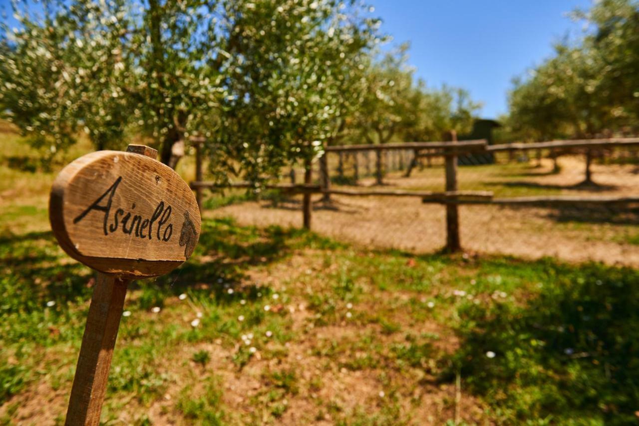 Casale Di Valle Villa Vinci Ngoại thất bức ảnh