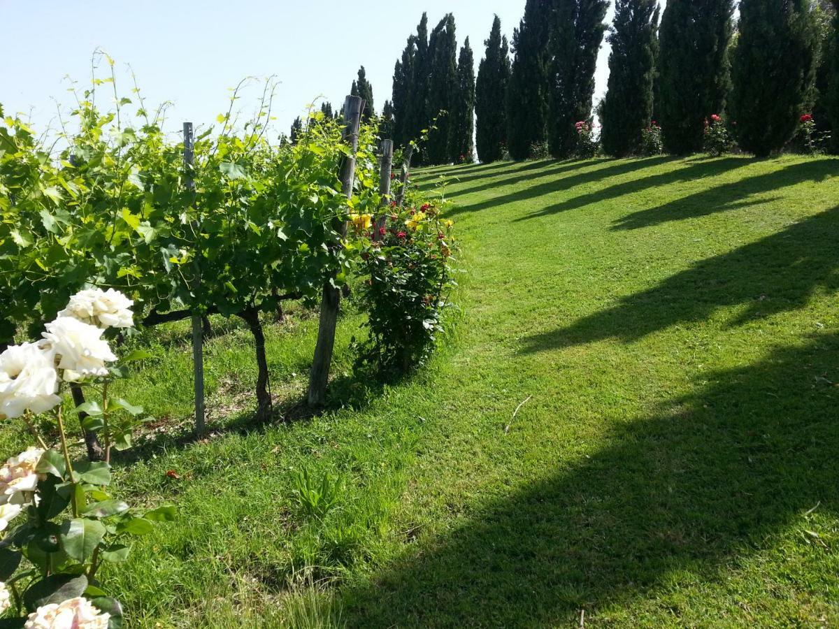 Casale Di Valle Villa Vinci Ngoại thất bức ảnh