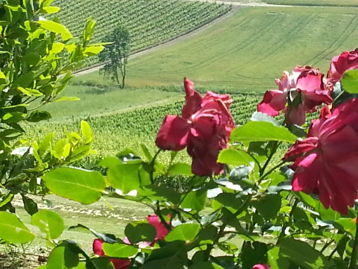 Casale Di Valle Villa Vinci Ngoại thất bức ảnh