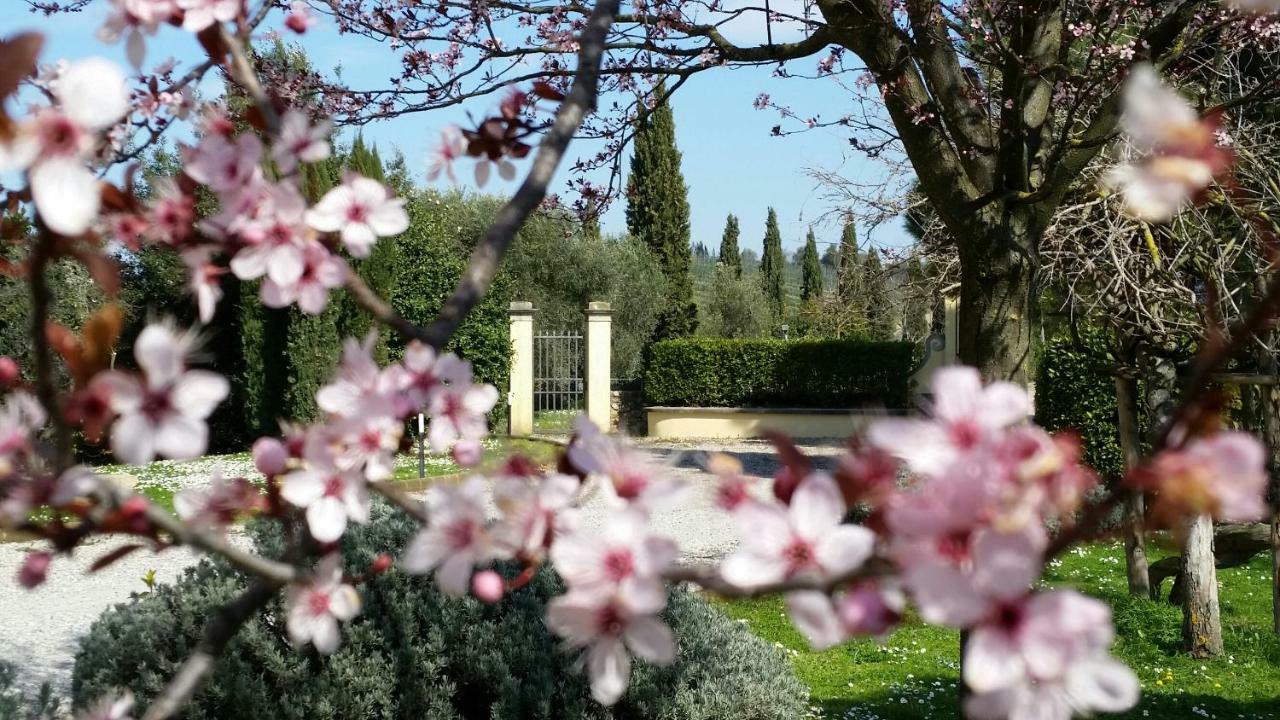 Casale Di Valle Villa Vinci Ngoại thất bức ảnh