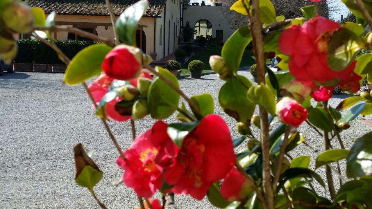 Casale Di Valle Villa Vinci Ngoại thất bức ảnh